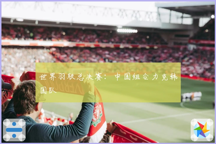 世界羽联总决赛：中国组合力克韩国队