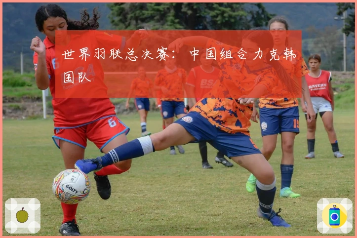 世界羽联总决赛：中国组合力克韩国队