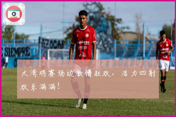 大湾鸡赛场边激情狂欢，活力四射欢乐满满！