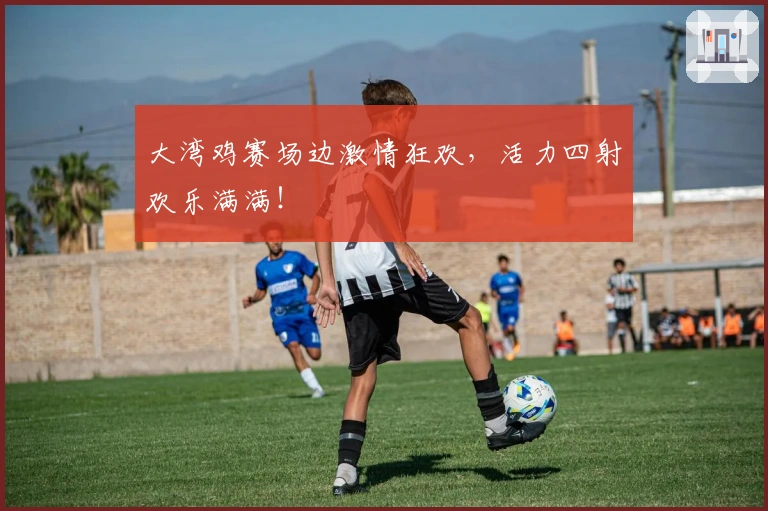 大湾鸡赛场边激情狂欢，活力四射欢乐满满！